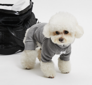 Louisdog Smart Grey Knit All-in-One
